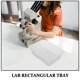 thumbnail image 3 of Luxshiny 4Ud Bandejas De Polipropileno Para Laboratorio Resistente A Químicos Y Almacenaje Seguro, 3 of 8