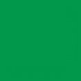 thumbnail image 4 of Hanes T-Shirt en Coton Authentique Sans Étiquette pour Enfants, P, Vert Trèfle, 4 of 4