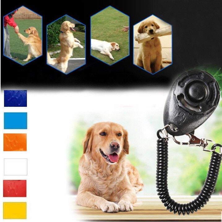 dog training supplies obedience