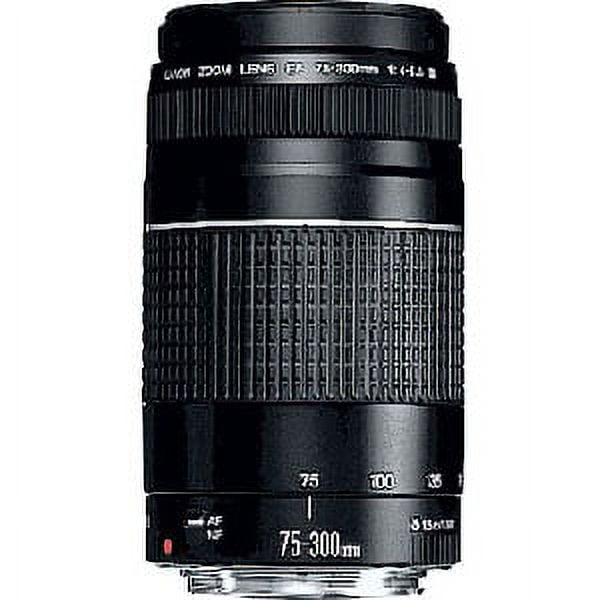 Canon 75-300 mm Zoom Lens