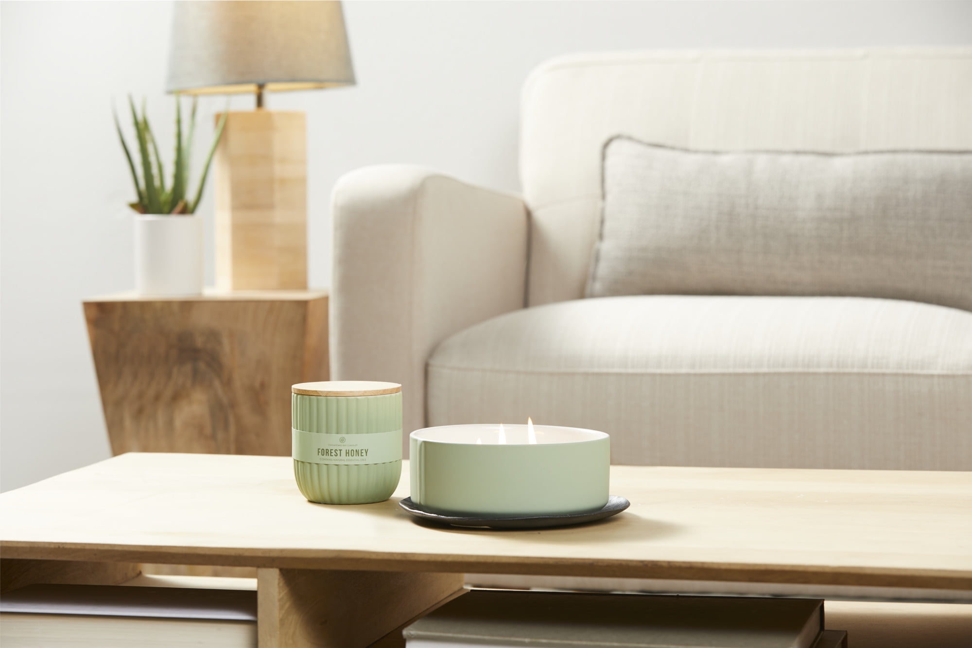 Chesapeake Bay Candle Minimalist Collection Forest Honey - 14.9oz Soft-Touch 3-Wick Ceramic Candle