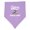 Lavender and Pink, variant on Inktastic Future Billiards Champ Baby Bandana Bib