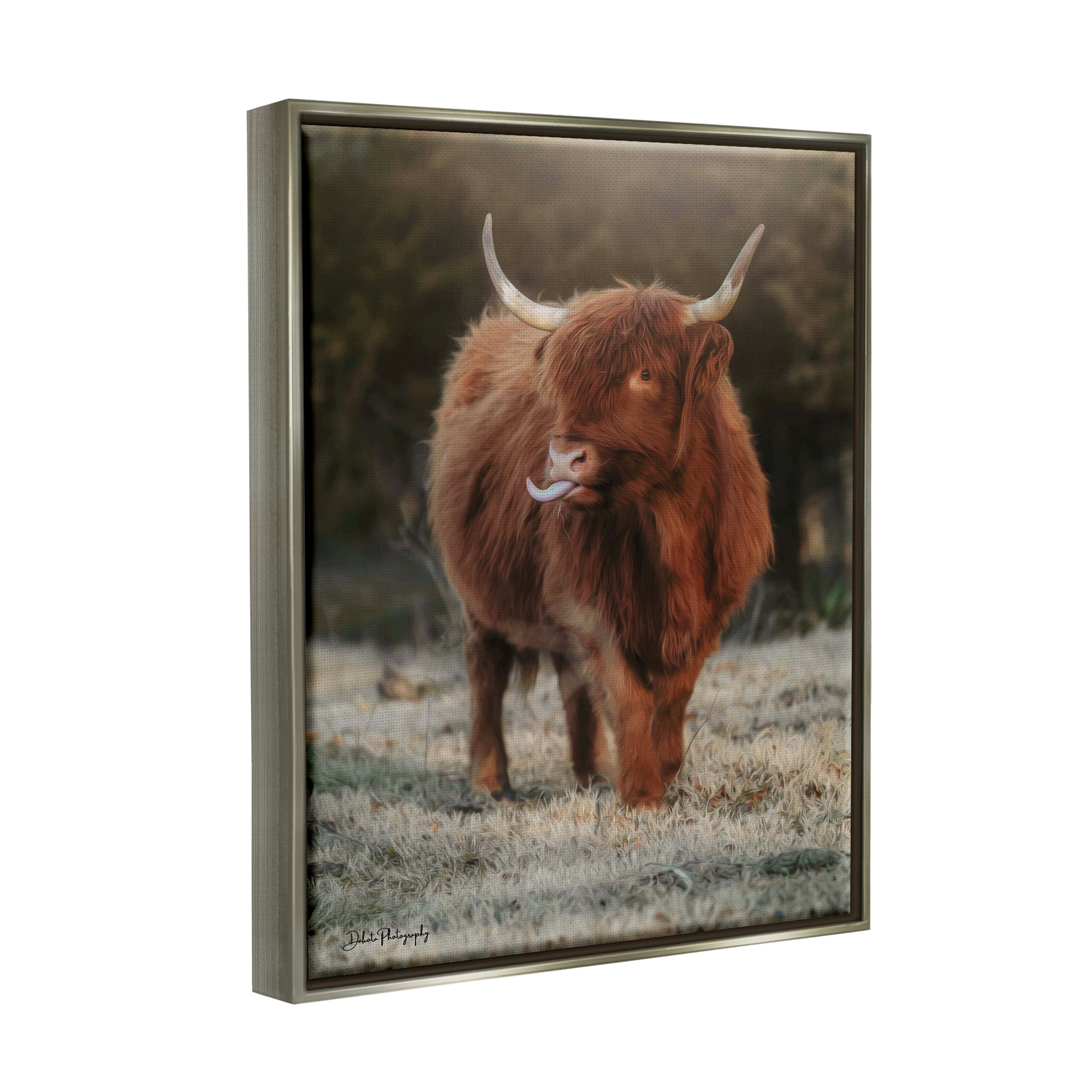 Stupell Highland Cattle Farmhouse Country Animal Animals & Insects Photography Gray Floater Framed Art Print Wall Art