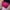 Pink, variant on Women Solid Simple High Capacity Messenger Handbag Totes Satchel Shoulder Bags Totes Hot Pink