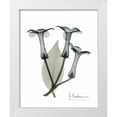 thumbnail image 3 of Albert Koetsier 4x14 White Modern Wood Framed Wall Art Titled - Stephanotis Triple  in Color, 3 of 5