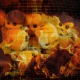 thumbnail image 2 of Escultura Calavera Terror Cerámica para Interiores Y Exteriores Calaveras Fuego Halloween 2 Uds., 2 of 4