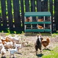 thumbnail image 2 of 8-hole green chicken coops box con stand-metal hen house para convenient egg collection ventilated poultry house equipment para hens y ducks, 2 of 7