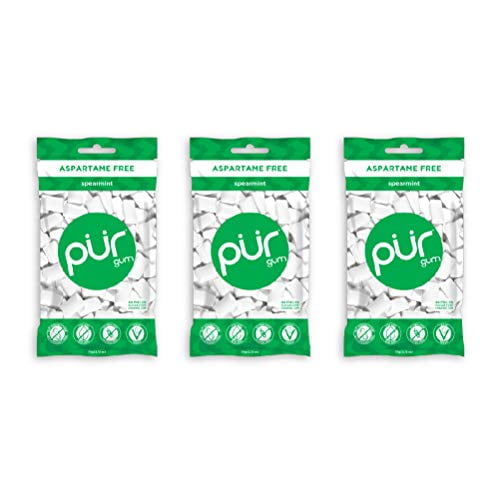 PUR Gum Sugar Free Chewing Gum with Xylitol - Natural Spearmint Flavor - 55 Pieces (Pack of 3)