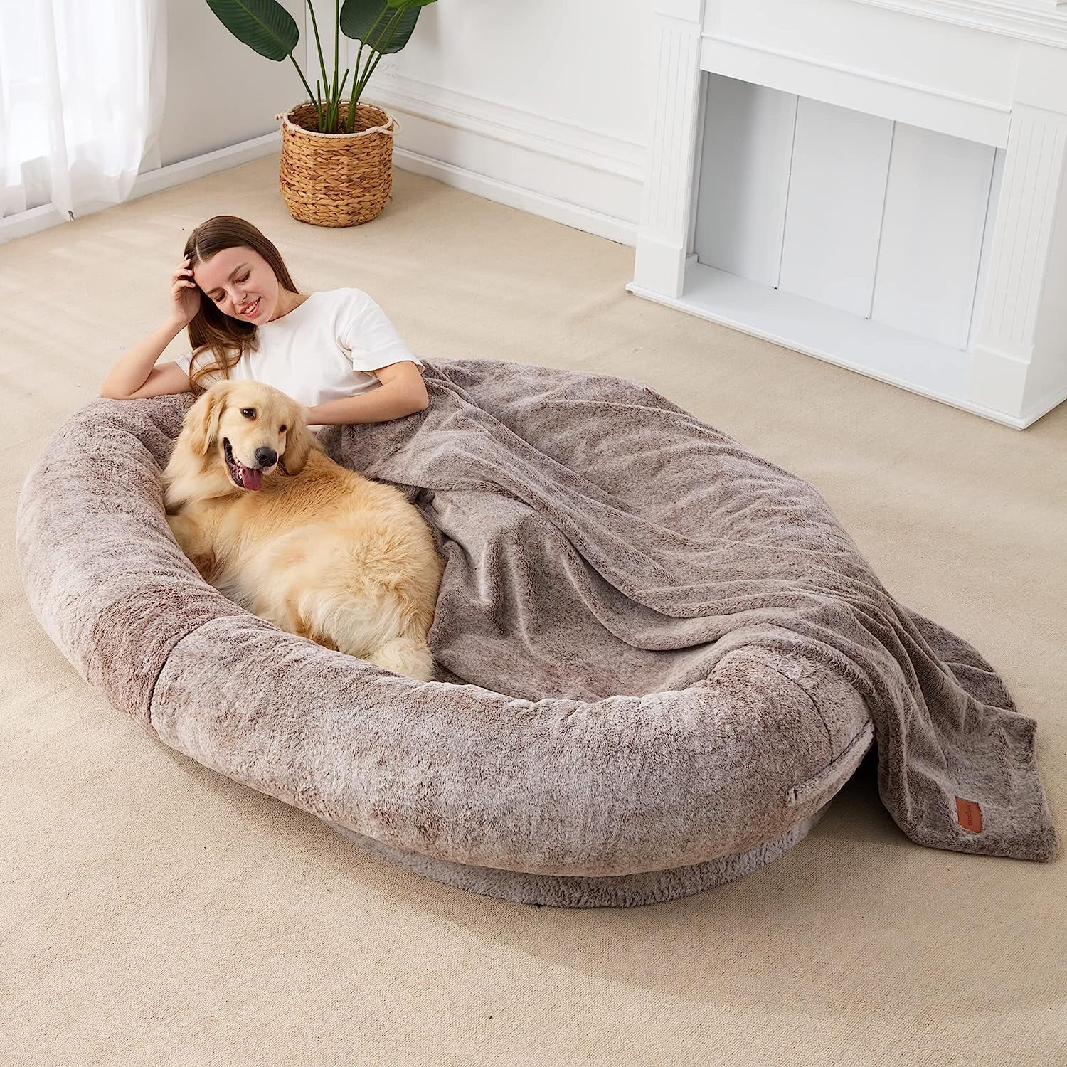Large Bean Bag Bed for Humans BeanBag Dog Bed Humansized Large Dog Bed