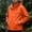 Orange, variant on LEKWK Hooded Softshell Jacket for Men Full Zip Lightweight Outdoor Windbreaker, Water Resistant Utility Rain Coat with Zipper Pockets and Adjustable Cuffs for Hiking Travel Red XL
