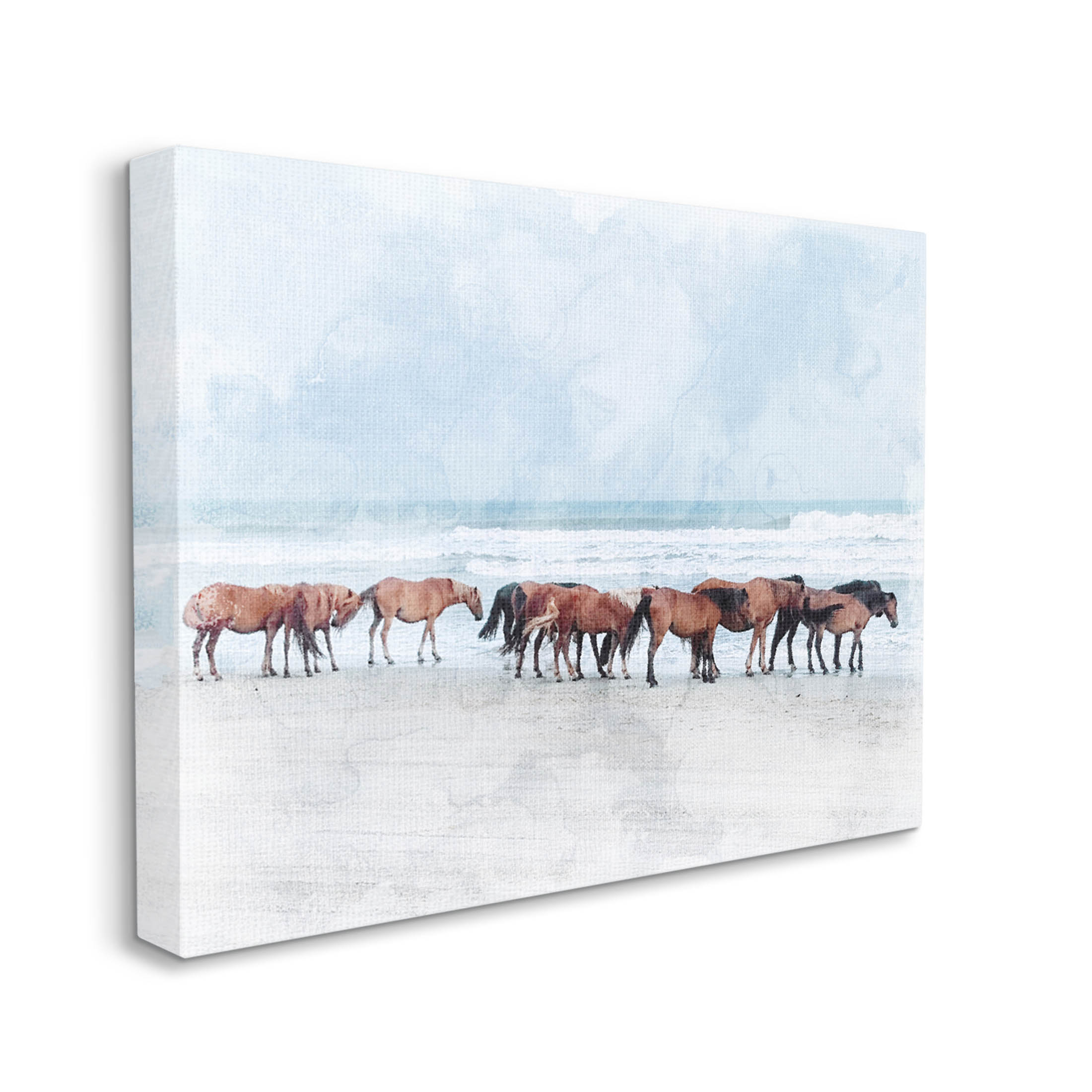 Horse Herd Grazing Beach Shore Animals & Insects Photograph Gallery Wrapped Canvas Print Wall Art