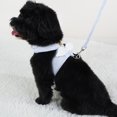 thumbnail image 5 of Wear-Resistant Pet Harness Set - No-Pulling Fabric Harness with Bow Knot for Outdoor Adventures, 5 of 8