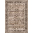thumbnail image 2 of BERTHMEER 3'x5' Washable Area Rugs for Kitchen Entryway Entrance Bedroom Office Non Slip Vintage Traditional Oriental Distressed Small Rugs,Brown, 2 of 6