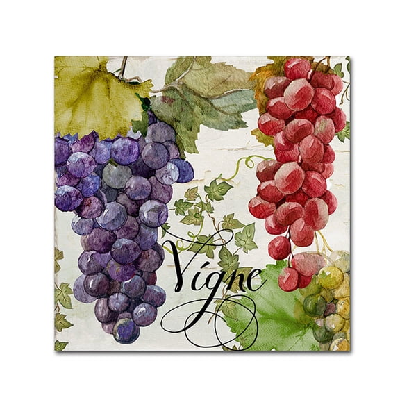 Trademark Fine Art "Wines of Paris I" Canvas Art by Color Bakery