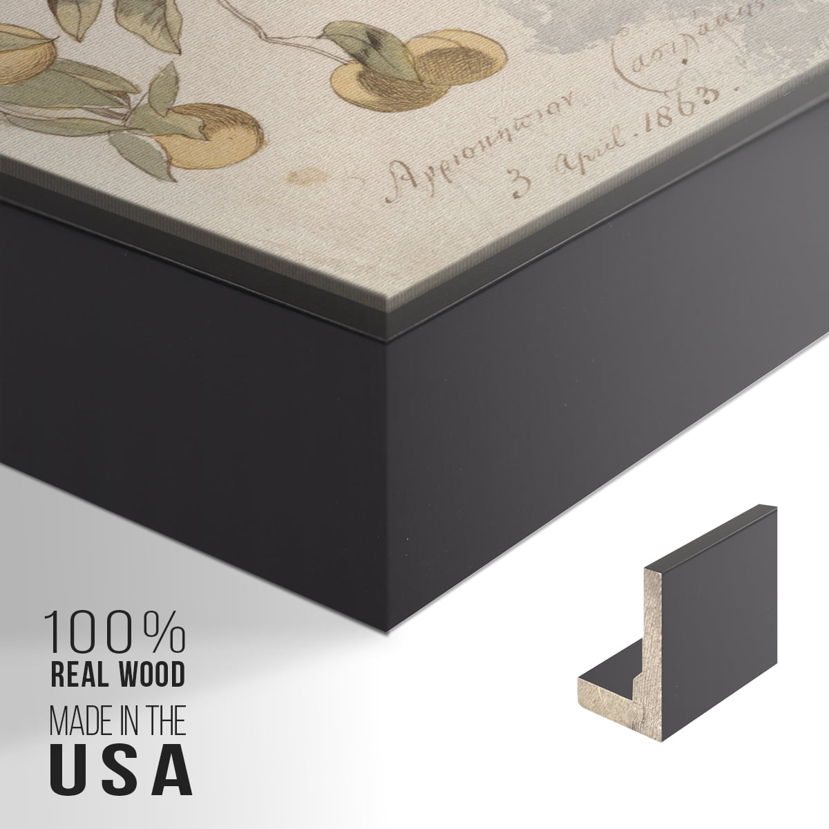 Vintage Botanical Print-IV By Wexford Home Framed in Black Wood Gallery Wrapped Canvas 17 in. x 25 in.