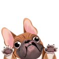 thumbnail image 1 of 1 Uds. Etiqueta engomada del coche del perro cara divertida orejas y ojos grandes, 1 of 6