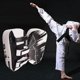 thumbnail image 5 of Guantes de boxeo con escudo para patadas y golpes, guantes de enfoque para puñetazos de MMA, kickboxing y muay blanco, 5 of 8