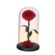 thumbnail image 2 of Rosa en cúpula de cristal, decoración para San Valentín, regalos para San Valentín Estilo B, 2 of 9