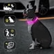 thumbnail image 3 of Collar LED para perro Colaseeme, recargable por USB, color rosa, 70 cm, 3 of 6