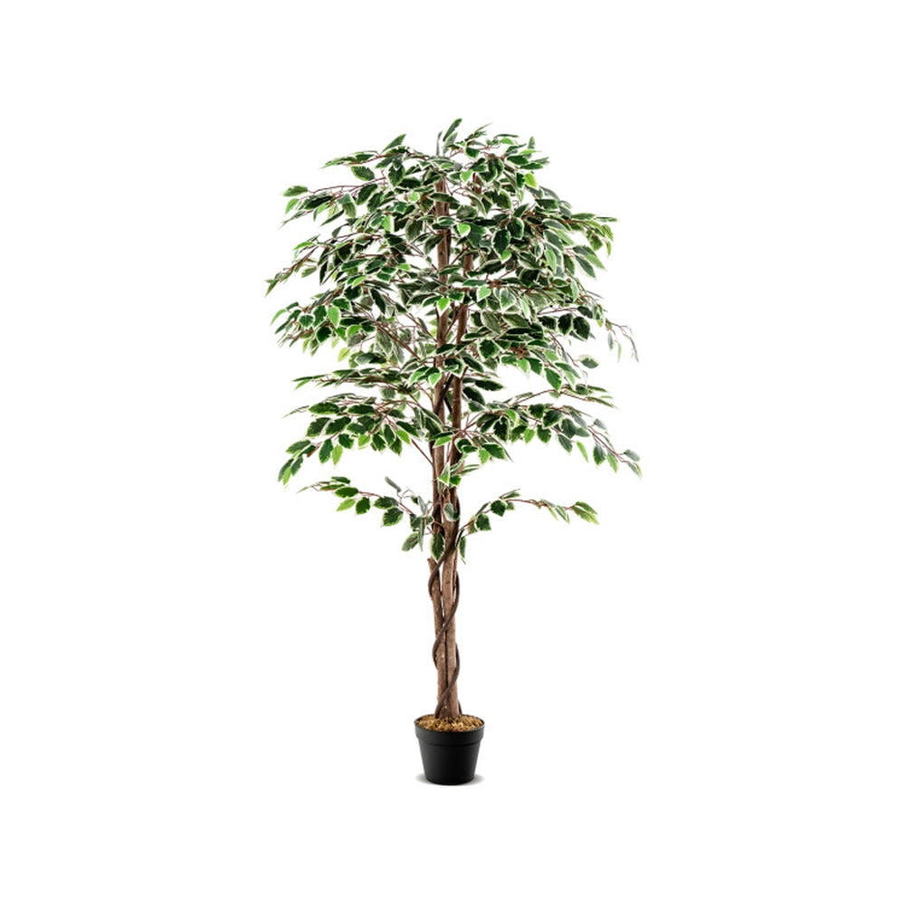 Spaco 65 inch Tall Faux Indoor Plant with 1008 Leaves Nursery Pot and Dried Moss, Artificial Ficus Tree, Faux Ficus Tree for Indoor as Living Room, Office, Green
