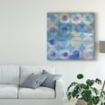 thumbnail image 3 of Trademark Fine Art 'Touching Circles III' Canvas Art by Danhui Nai, 3 of 4