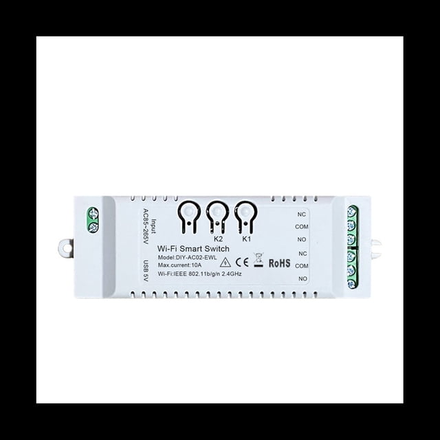 Interruptor Inteligente WiFi de 2 Canales, Temporizador DIY, AplicacióN 85-265V, USB, 5V, 2,4G, MóDulo de AutomatizacióN del Hogar WiFi para Alexa, Google Home, IFTT