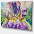 thumbnail image 2 of Iris Flower Close up, 2 of 3