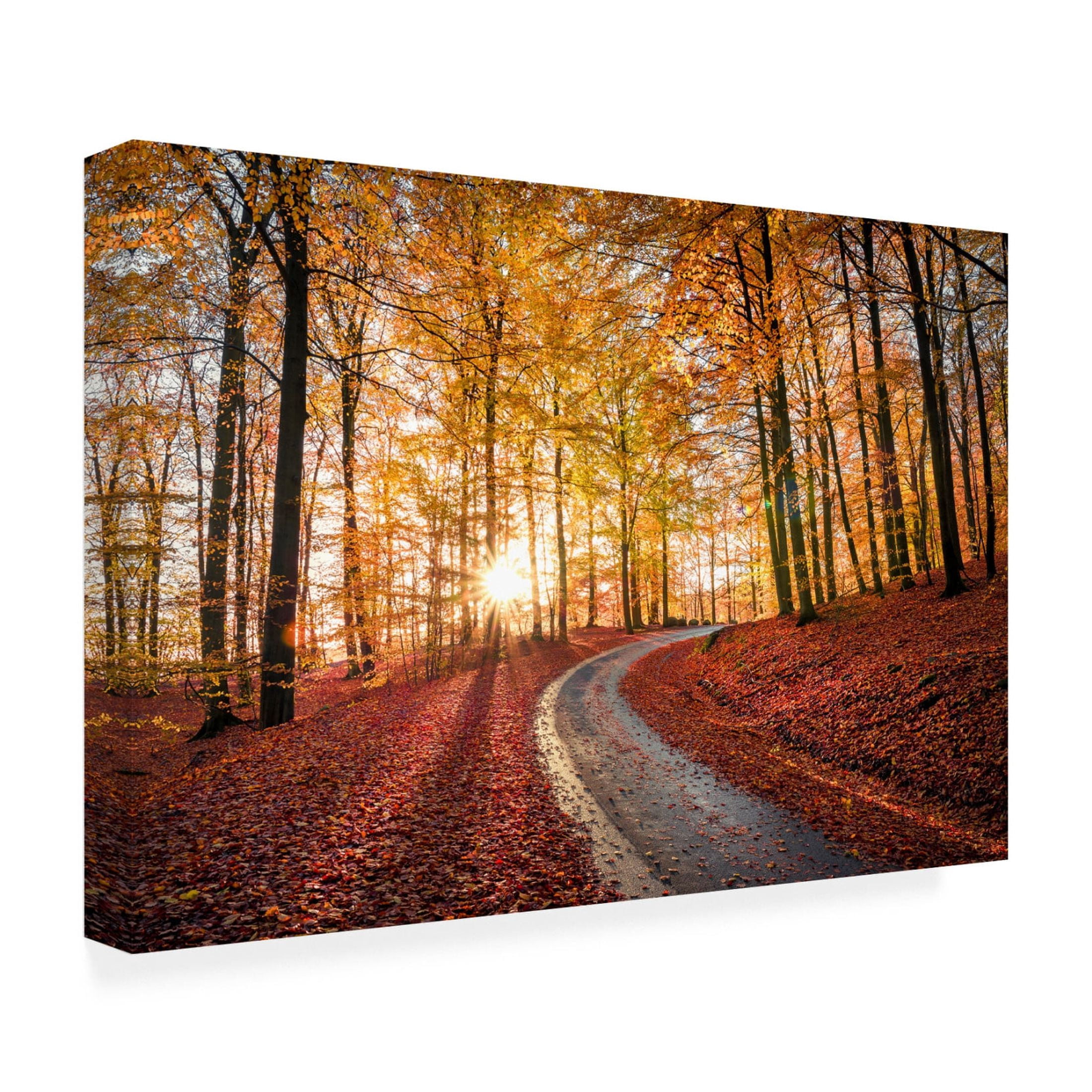 Canvas Wall Art - Christian Lindsten 'Road In Sapderaysen Nationalpark, Sweden' Wall Art for Living Room, Bedroom, or Office Décor by Trademark Fine Art - 24 x 16 Inches