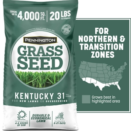 Pennington Kentucky 31 Tall Fescue Grass Seeds for Lawn, for Sun to Partial Shade, 20 lb