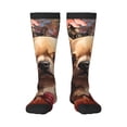 thumbnail image 1 of Fotbe Vintage Red Flower Chihuahua Calcetas Divertidas Estampadas para Hombre y Mujer, Calcetas de Algodón hasta la Rodilla para Caminar, Correr, Enfermería y Embarazo, 1 of 6