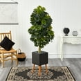 thumbnail image 4 of Nearly Natural 70in. Schefflera Artificial Tree in Black Planter with Stand (Real Touch), 4 of 5