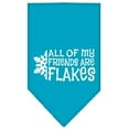 thumbnail image 3 of Mirage Pet Products All My Friends are Flakes Screen Print Bandana for Pets, Large, Turquoise, 3 of 9