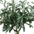 thumbnail image 3 of 5pcs Olive Branches for Vases Artificial Plants Greenery Stems for Vases Olive Leaves Plant (Green), 3 of 5