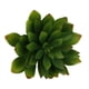 thumbnail image 3 of Lotus artificial,artificial Suculento,Planta artificial,falso Pistia Stratiotes, 3 of 9