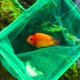 thumbnail image 2 of Venta directa de fábrica, accesorios para acuario, pecera, red de pesca de peces, pesca de peces cuadrada redonda Xemadio 220779, 2 of 8