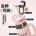 thumbnail image 3 of High-Capacity Dual-Drink Insulated Bottle with Straw & Direct Sip, Stylish Design, 3 of 19