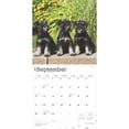 thumbnail image 4 of Schnauzer Puppies 2025 12 X 24 Inch Monthly Square Wall Cale, 4 of 9