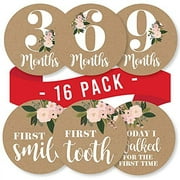 16 Monthly Baby Milestone Stickers Girl - Rustic Baby Monthly Milestone Stickers for Baby Girl, Milestone Baby Monthly Stickers, Baby Month Stickers for Baby Photo Props, Monthly Baby Stickers Girl