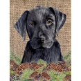 thumbnail image 1 of Carolines Treasures SC9045CHF Toile Drapeau Labrador - Taille de la Maison, 1 of 4