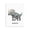 Triceratops Educational Illustration, variant on Stupell Industries Contemporary High Five Roaring Dinosaur T-Rex Kids Typography Black Floating Frame Canvas Art, 17 x 21, by Lil' Rue
