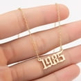thumbnail image 2 of Flmtop 1980-2019 Birth Year Number Charm Pendant Stainless Steel Chain Necklace Jewelry, 2 of 8