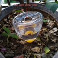 thumbnail image 5 of Plant Watering Artifact Automatic Watering Device Drip Irrigation System Suitable for Home Garden Flowers and Plants, 5 of 5