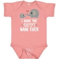 thumbnail image 3 of Inktastic Best Nani Ever Grandchild Boys or Girls Baby Bodysuit, 3 of 5