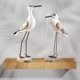thumbnail image 3 of 2 figuras en miniatura de gaviota de escritorio, estatua de pájaro para decoración de jardín, bricolaje amarillo, 3 of 8