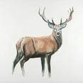 thumbnail image 3 of Atelier B Art Studio 12x12 Black Modern Framed Museum Art Print Titled - Deer, 3 of 5
