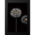 thumbnail image 2 of Frank, Assaf 11x14 Black Modern Framed Museum Art Print Titled - Make A Wish I, 2 of 5