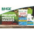 thumbnail image 4 of Image Ready-to-Use Casaron Weed & Grass Preventer, 4 lbs., 4 of 9