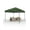 Green, variant on WPOND 10'x10' Pop Up Canopy Tent, Waterproof and UV Protection, 4 Sandbags,Instant Portable and Adjustable Shelter for Deck, Backyard, Garden, Patio,Lawns,Outdoor Activities, White