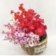 thumbnail image 2 of Xiao Hua 3 flores artificiales de flor de durazno, flores artificiales para decoración de bodas, 2 of 5