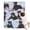 Rottweiler Dogs, variant on Rottweiler Dogs Blanket,Comfortable Soft Lamb Wool Throw Blanket,All Season,Warm Lightweight Blankets for Sofa Bed Couch Living Room Chair,30"x40"